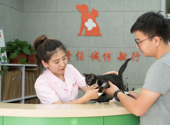 Pet Clinic