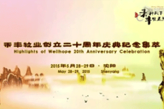 Highlights of Wellhope’s 20th Anniversary Celebration